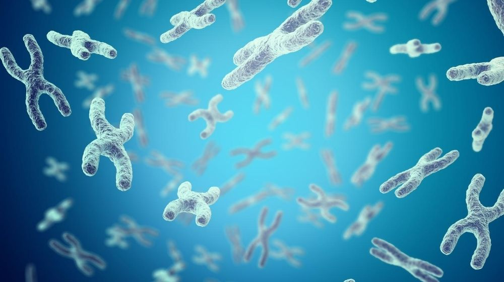 The Science of Telomeres: Can We Slow Down How Fast Our Cells Age?